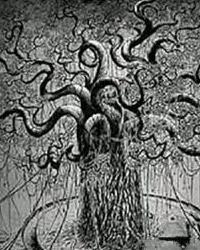 九头蛇柏图片,神秘古树中的自然奇观揭秘